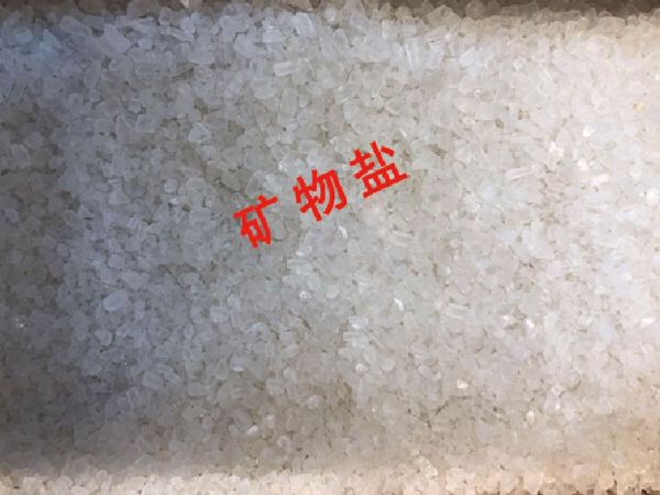 微信圖片_20201019144802.jpg